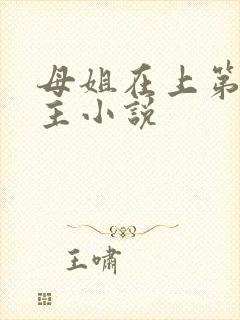 母姐在上第一版主小说
