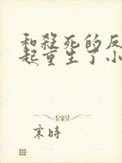 和杀死的反派一起重生了小说