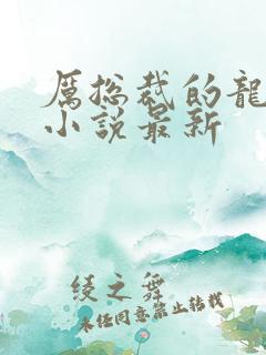 厉总裁的龙凤胎小说最新