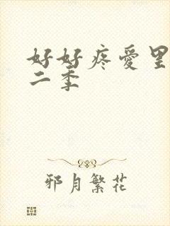 好好疼爱里面第二季