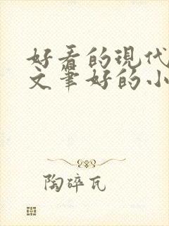 好看的现代言情文笔好的小说