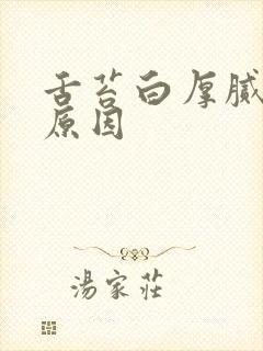 舌苔白厚腻是啥原因