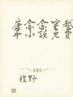 唐念念穿越七零年小说免费阅读