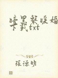 暗黑系暖婚小说下载txt