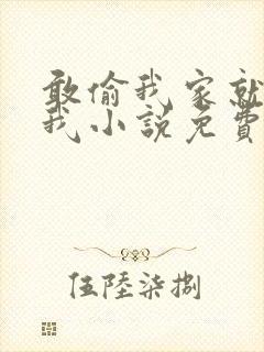 敢偷我家就别怪我小说免费阅读