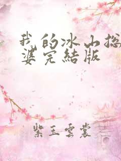 我的冰山总裁老婆完结版