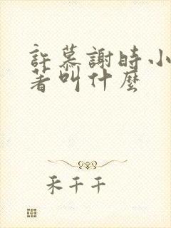 许慕谢时小说原著叫什么