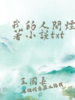 我的人间烟火原著小说txt