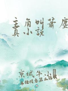 主角叫萧尘的修真小说