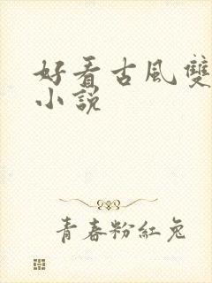 好看古风双男主小说