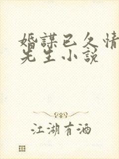 婚谋已久情迷厉先生小说
