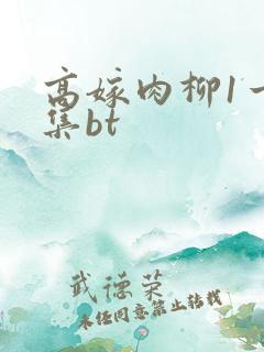 高嫁肉柳1一4集bt