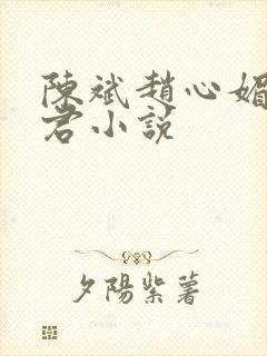 陈斌赵心媚高婉君小说