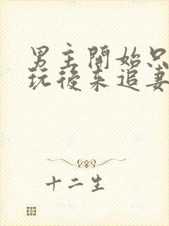 男主开始只是玩玩后来追妻火葬场