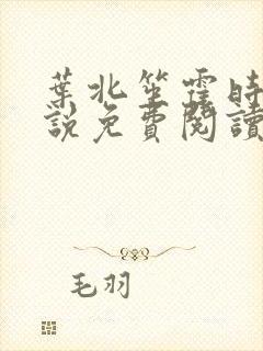 叶北笙霍时霆小说免费阅读