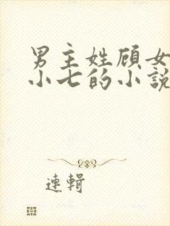 男主姓顾女主叫小七的小说