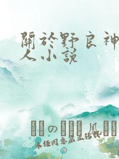 关于野良神的同人小说