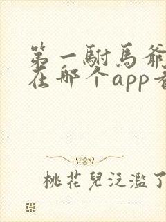 第一驸马爷短剧在哪个app看