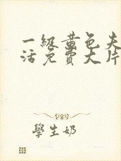 一级黄色夫妻生活免费大片