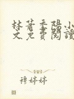 林萧季阳小说全文免费阅读