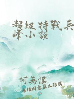 超级特战兵王张峰小说