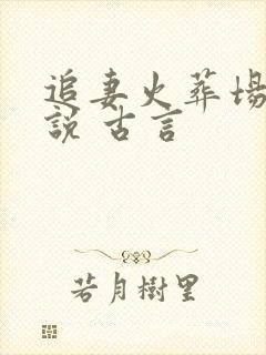 追妻火葬场的小说 古言