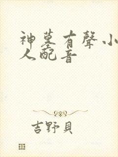 神墓有声小说多人配音