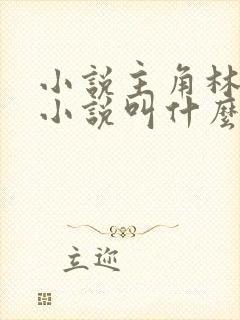 小说主角林辰的小说叫什么