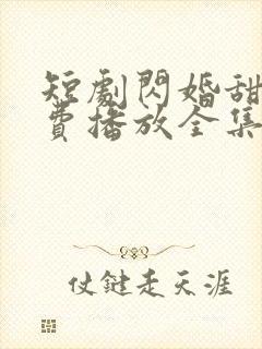 短剧闪婚甜妻免费播放全集