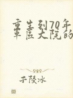 重生到70年代军区大院的小说