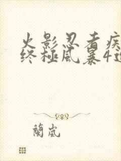 火影忍者疾风传终极风暴4进不去