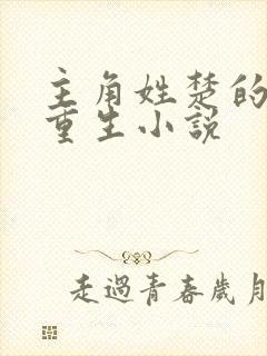 主角姓楚的穿越重生小说