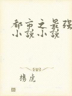 都市之最强狂兵小说小说