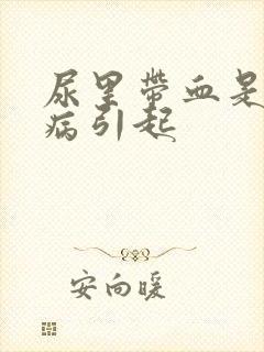 尿里带血是属什病引起