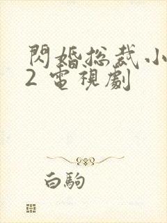 闪婚总裁小娇妻2 电视剧