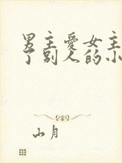 男主爱女主却娶了别人的小说