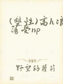 (双性)高h浪荡受np