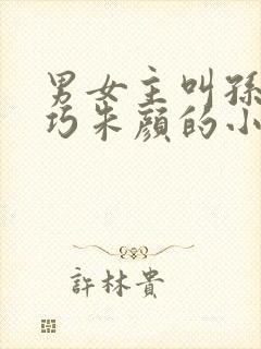 男女主叫孙哲叶巧朱颜的小说