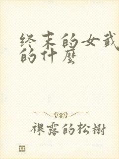 终末的女武神讲的什么