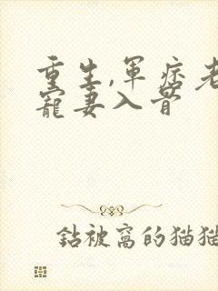 重生,军痞老公宠妻入骨