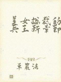 美女总裁的贴身兵王新章节