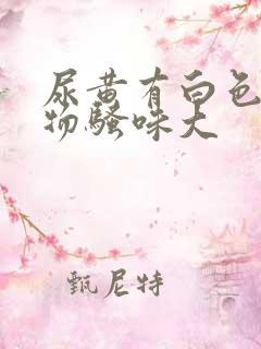 尿黄有白色沉淀物骚味大