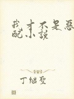 我才不是恶毒女配小说