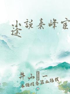 小说秦峰宦海官途