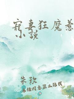 宠妻狂魔惹不得 小说