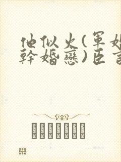 他似火(军婚高干婚恋)臣言最新章节