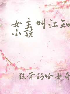 女主叫江知意的小说