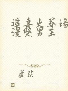 追妻火葬场的韩漫双男主