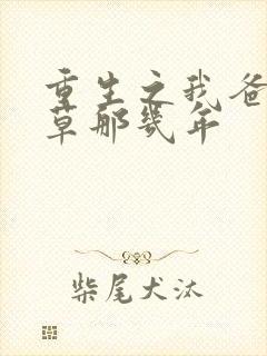 重生之我爸当校草那几年