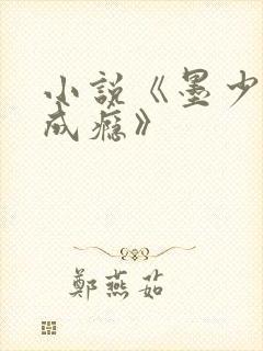 小说《墨少宠妻成瘾》